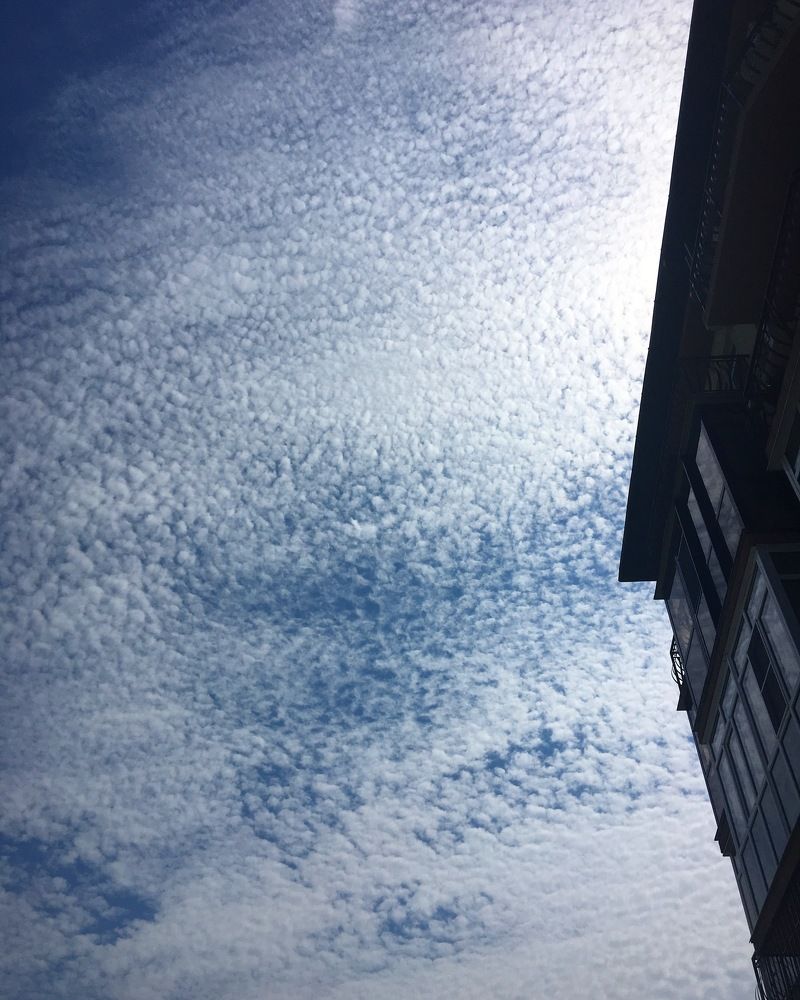 Красота и угол дома