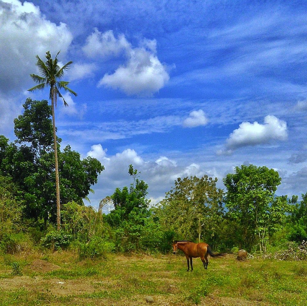 Photograph by Gerald Reyes