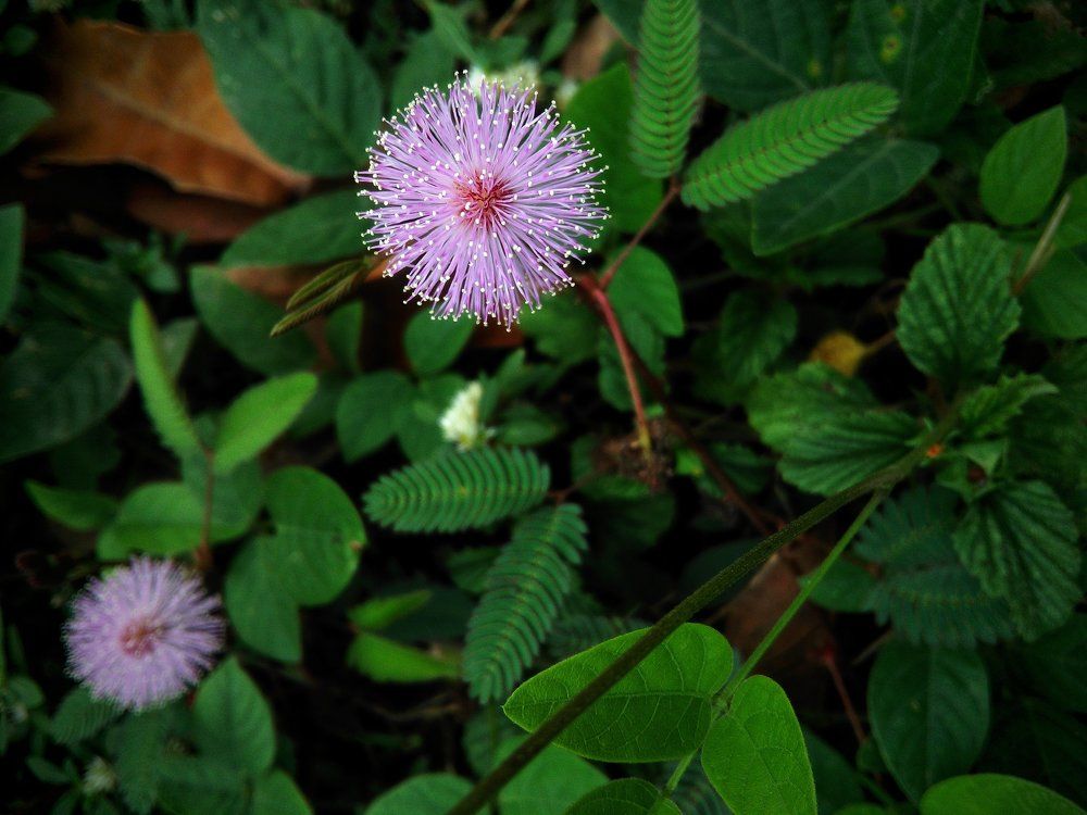 Photograph by Gerald Reyes