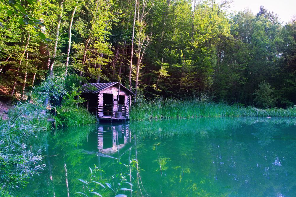 Райский уголок