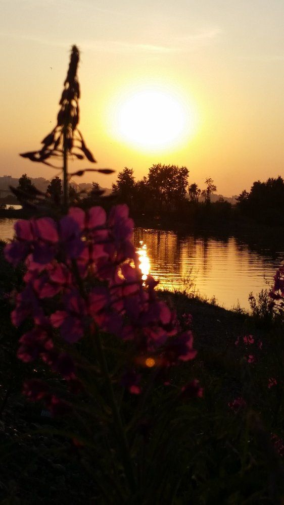 Photograph by Валентина