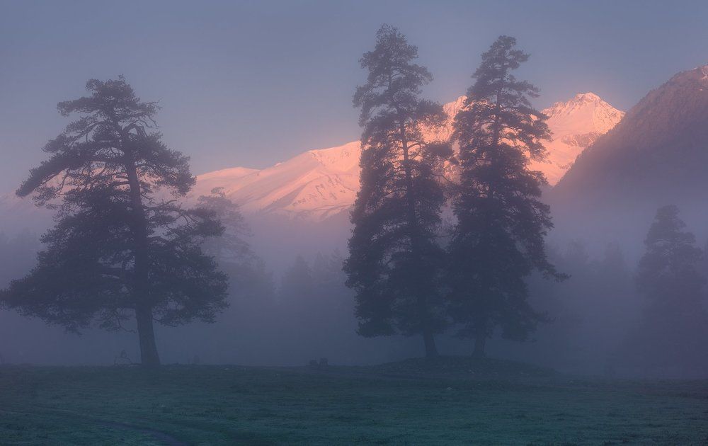 Туманный рассвет