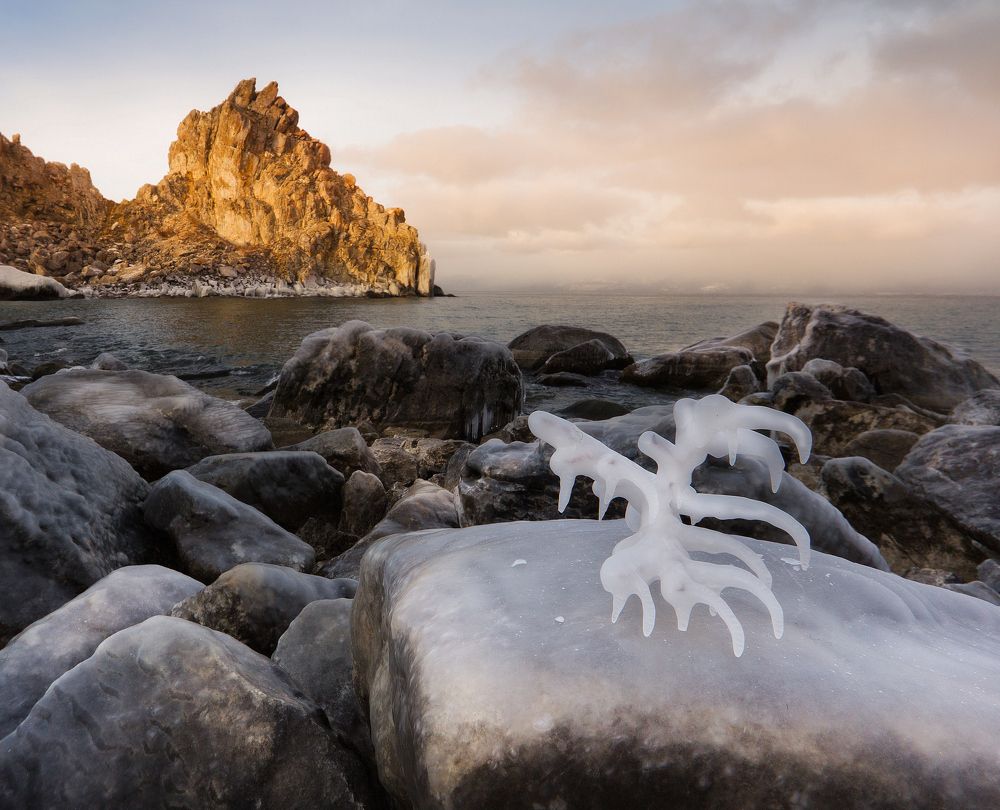 Танец декабря