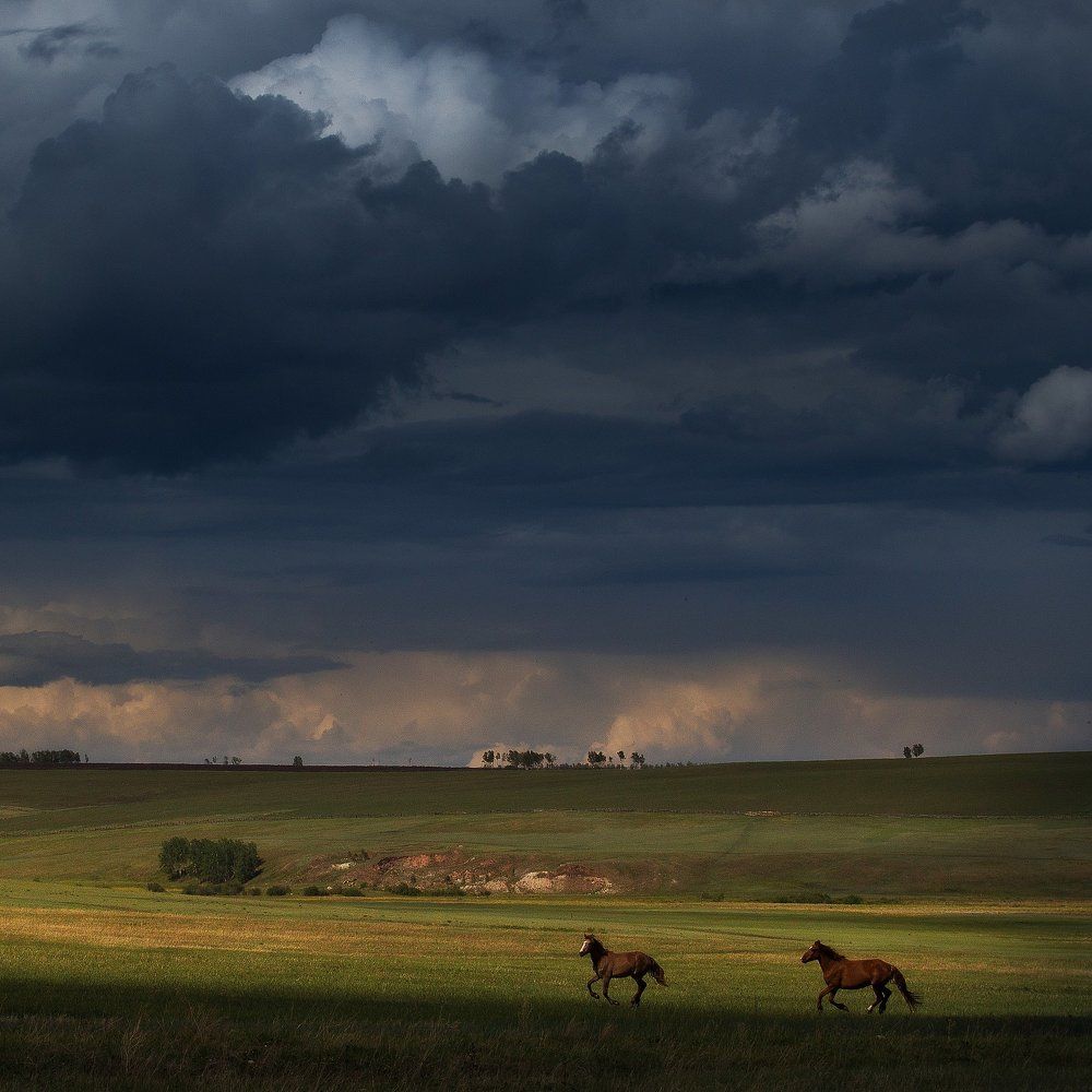 Бегущие по степи