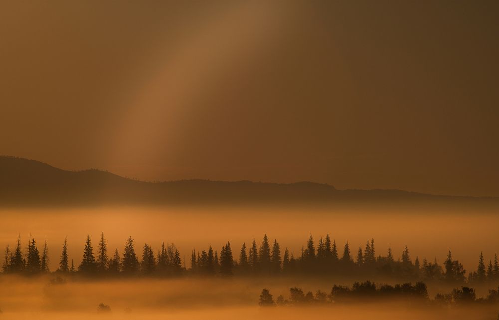 Монохромная радуга