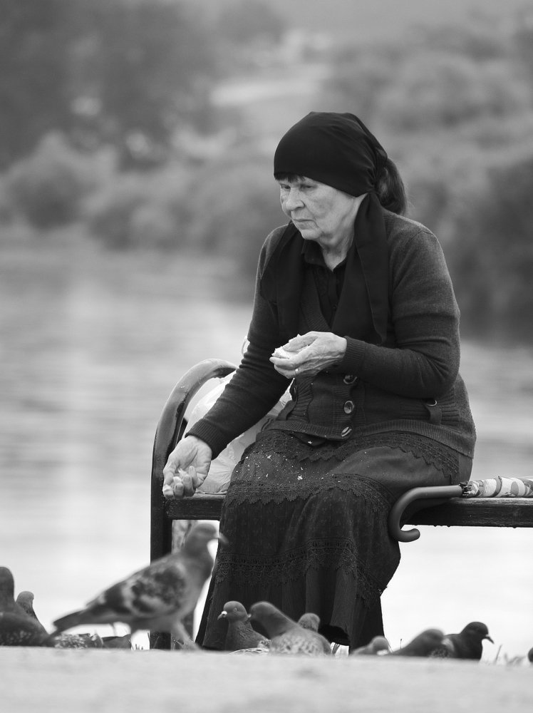 Кормление птиц