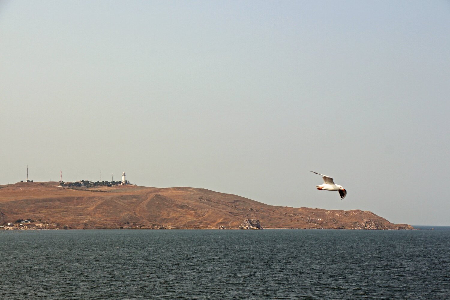 далекий берег