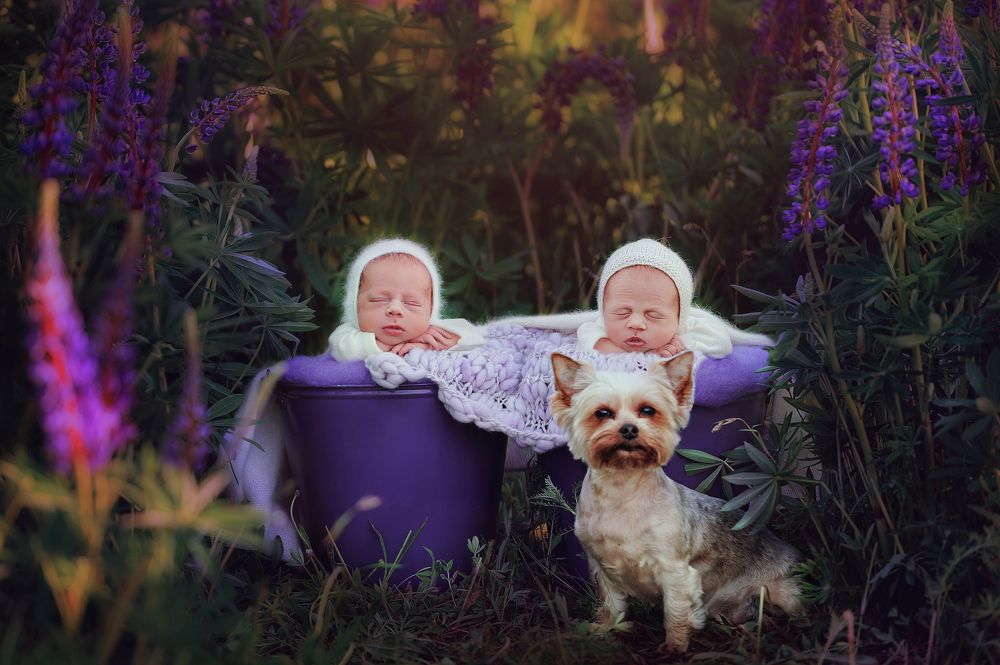 Photograph by Иван Заманухин