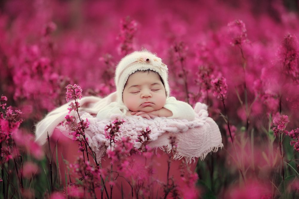 Photograph by Иван Заманухин