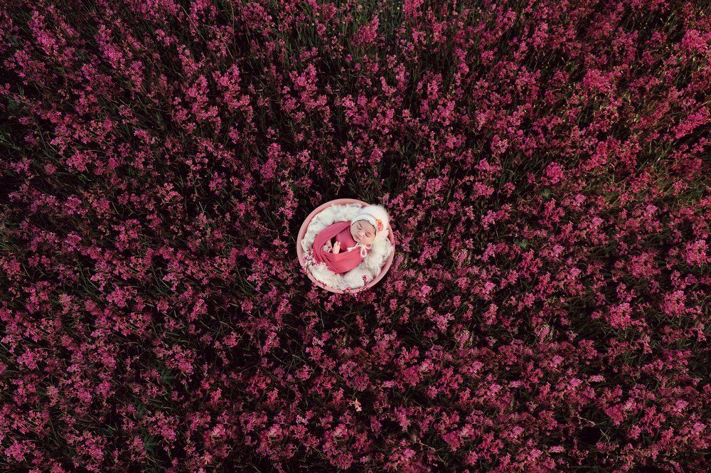 Photograph by Иван Заманухин