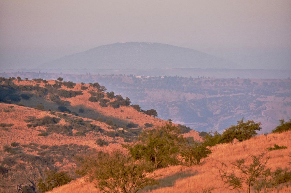 Golan Heights
