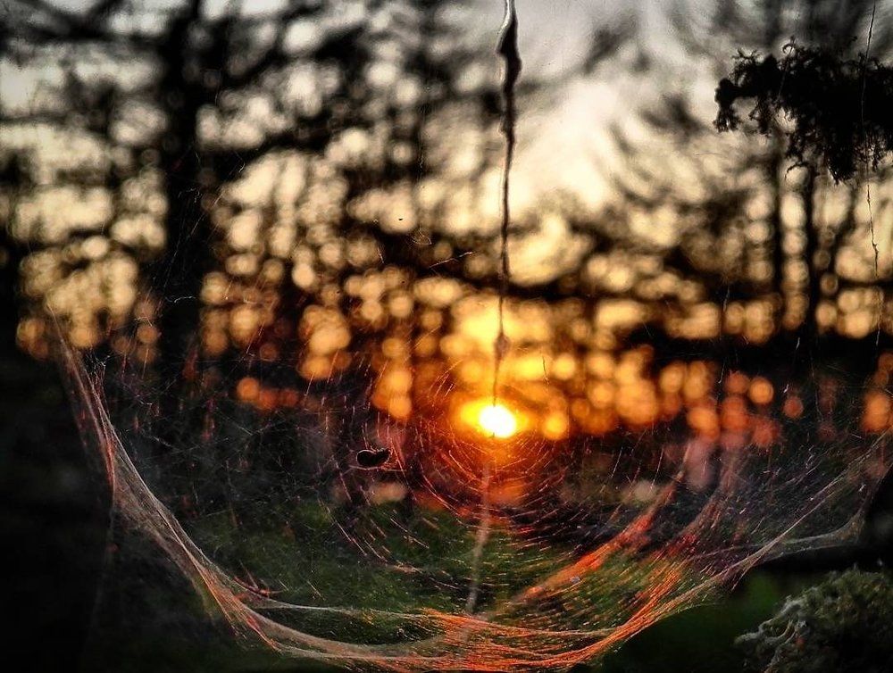 Photograph by Десятова Лика