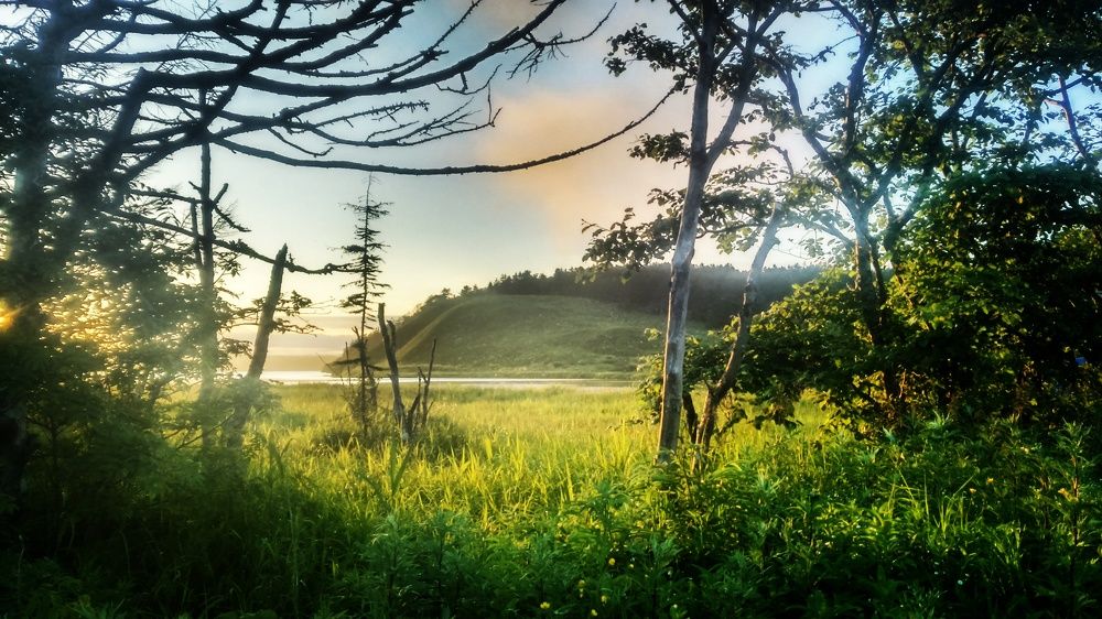 Photograph by Десятова Лика