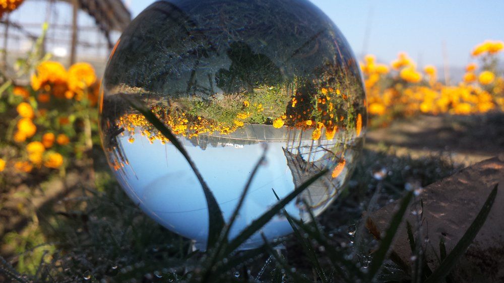 Photograph by shyam shrestha