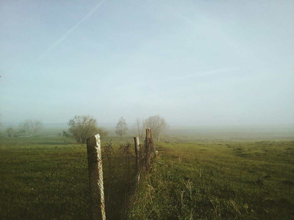 Morning