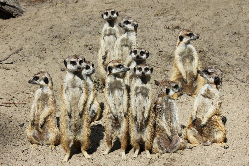 Photograph by Головина Ольга