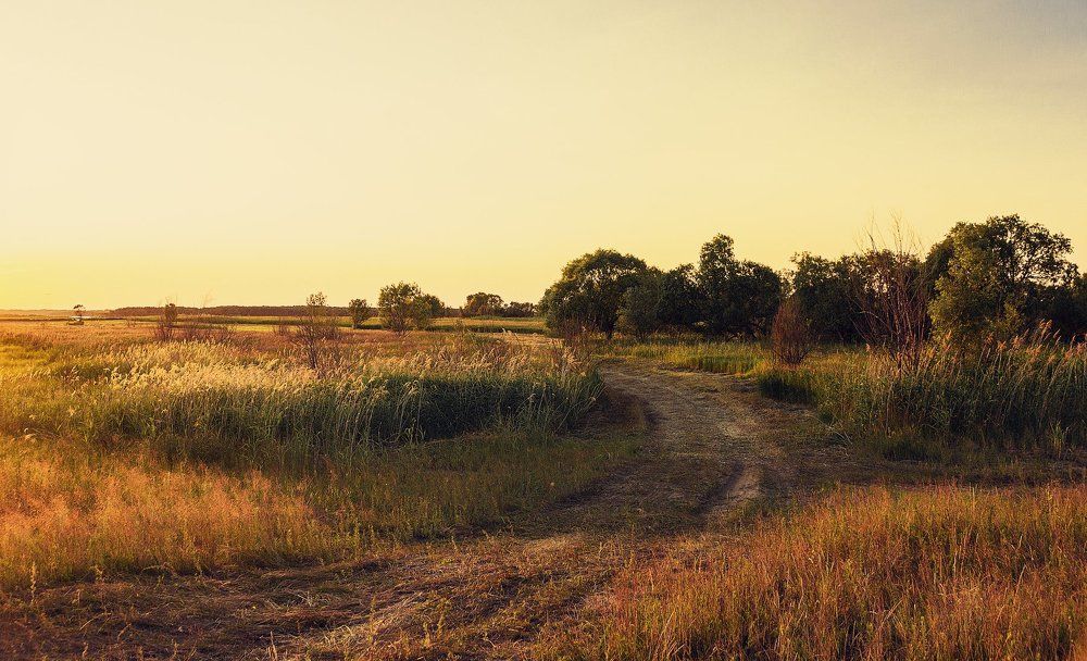 Сенокосная пора