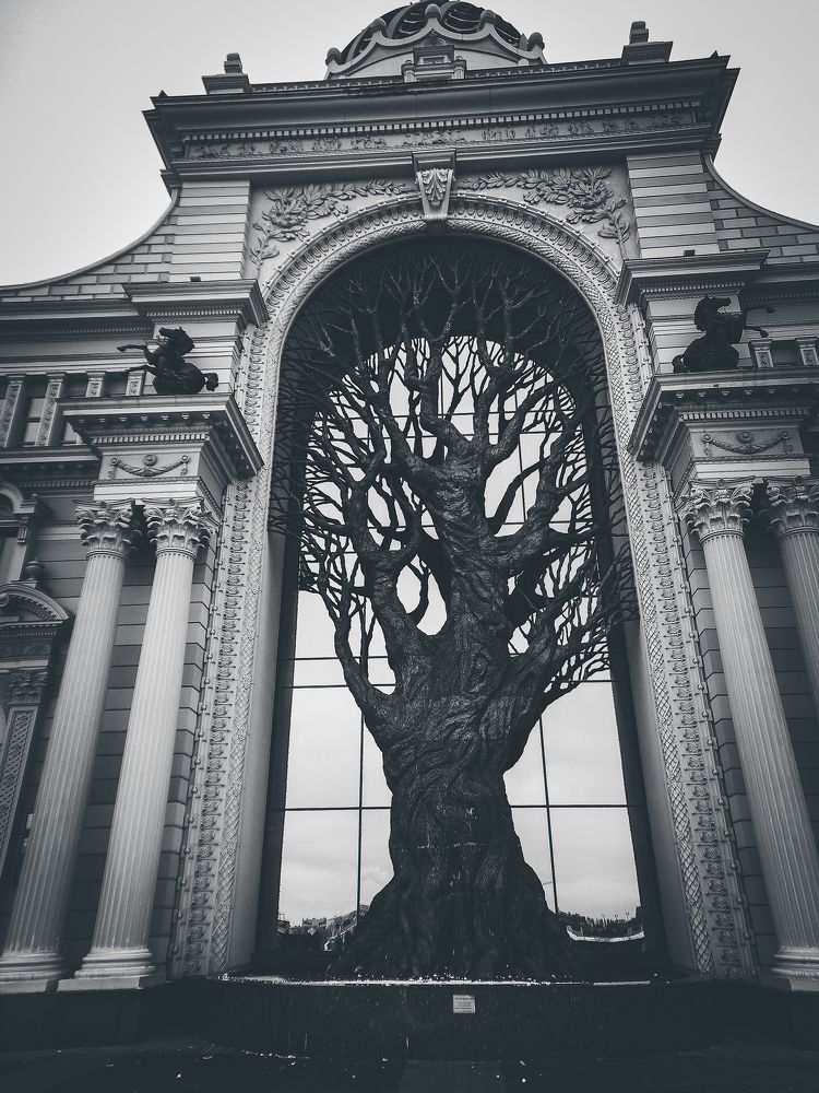 Photograph by Силина Александра