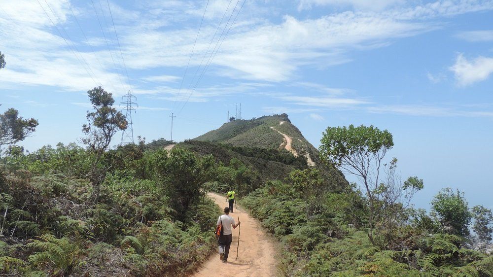 Road is so awesome like goal.