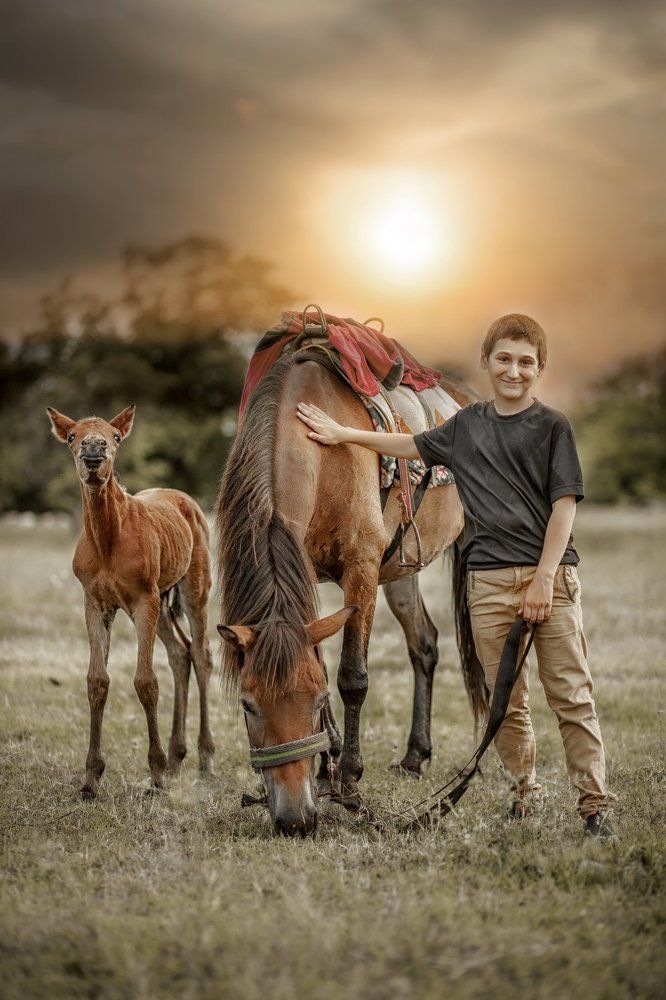 Знакомство с лошадьми