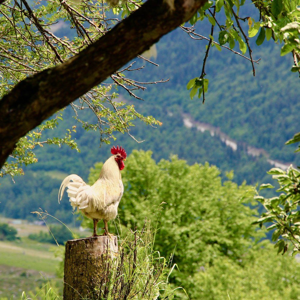 Photograph by Ahmet Aka