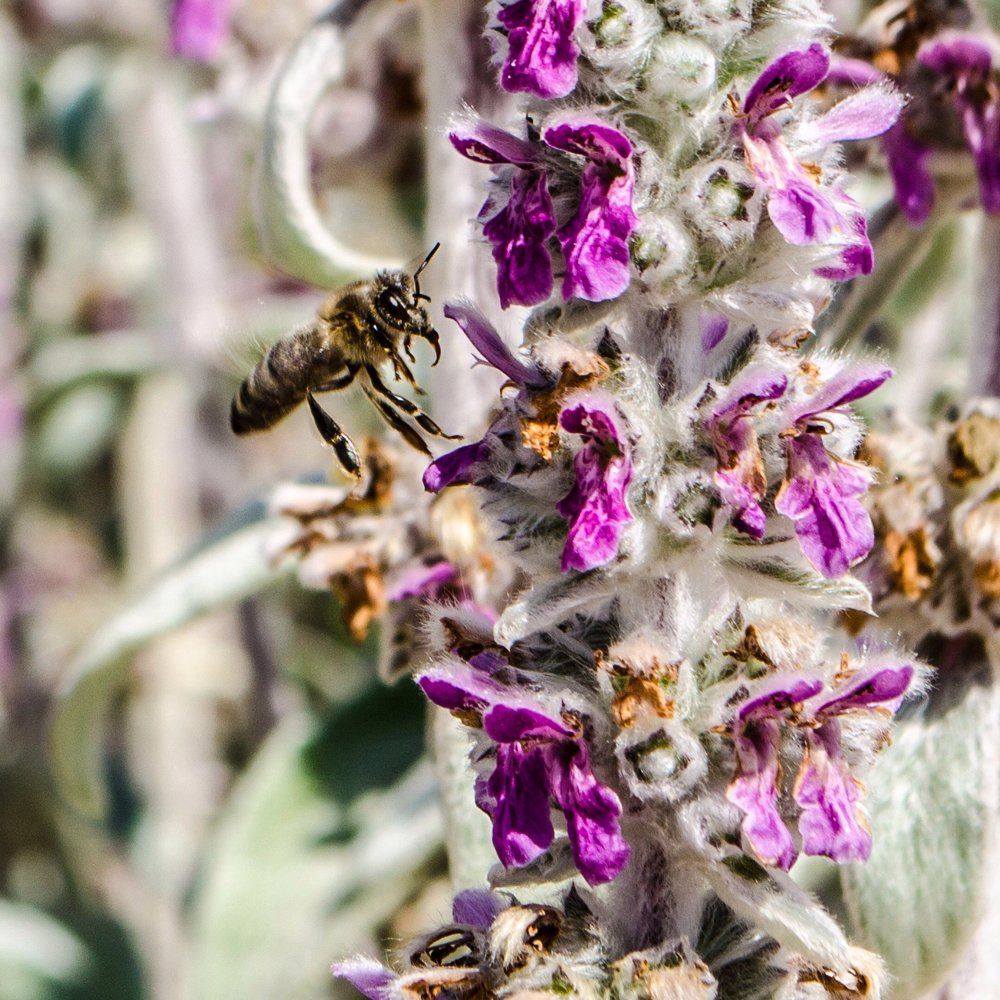 Photograph by Marina