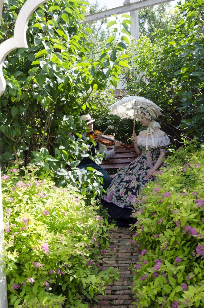 Леди и скрипачь