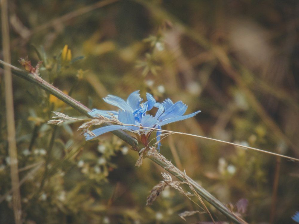 Photograph by Юлия Иванова