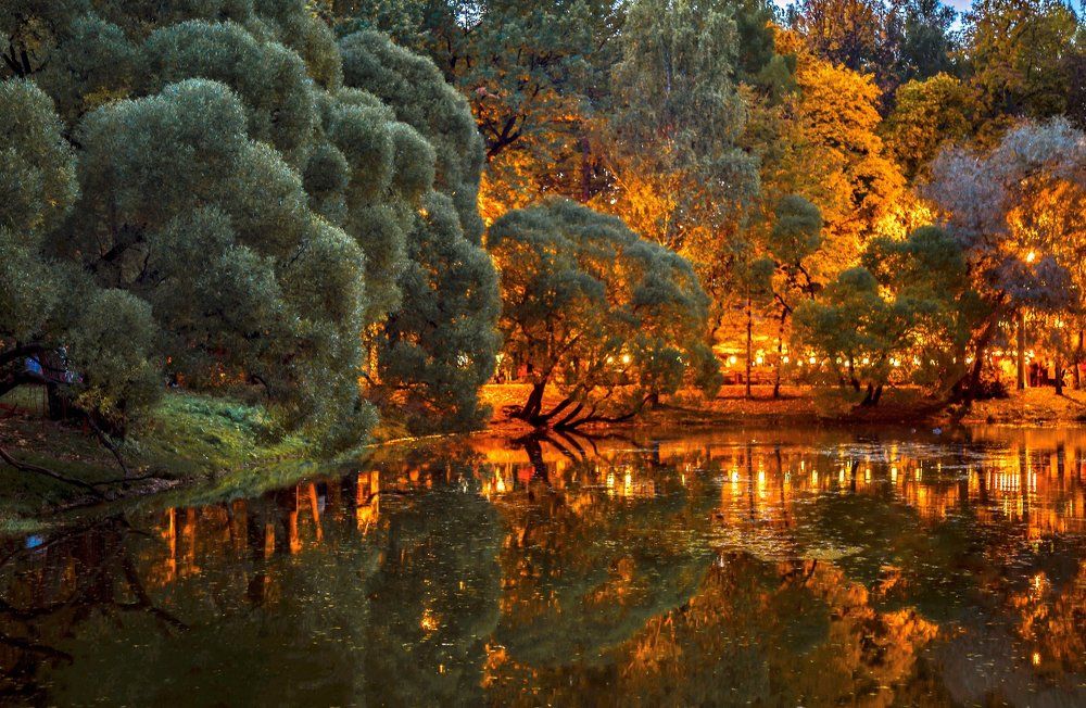 В лучах софитов