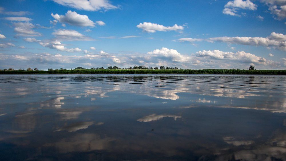 Приток Дона - Мёртвый Донец