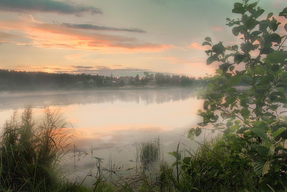 Окутанное туманом