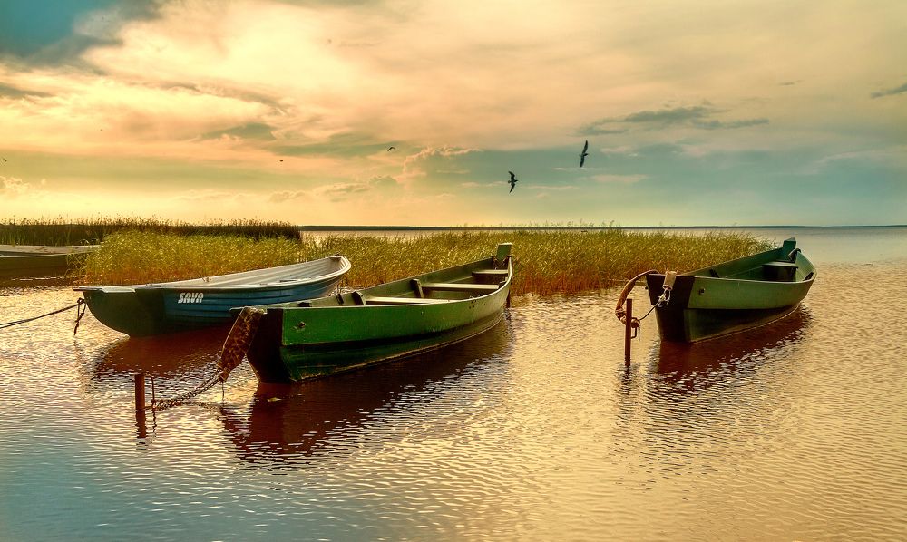 О том, как я на лодках не катался...