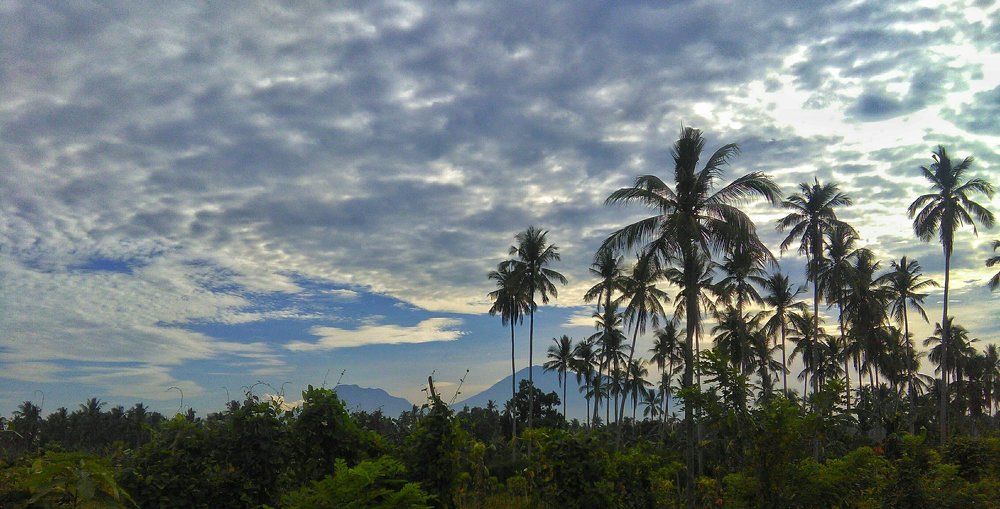 Photograph by Gerald Reyes