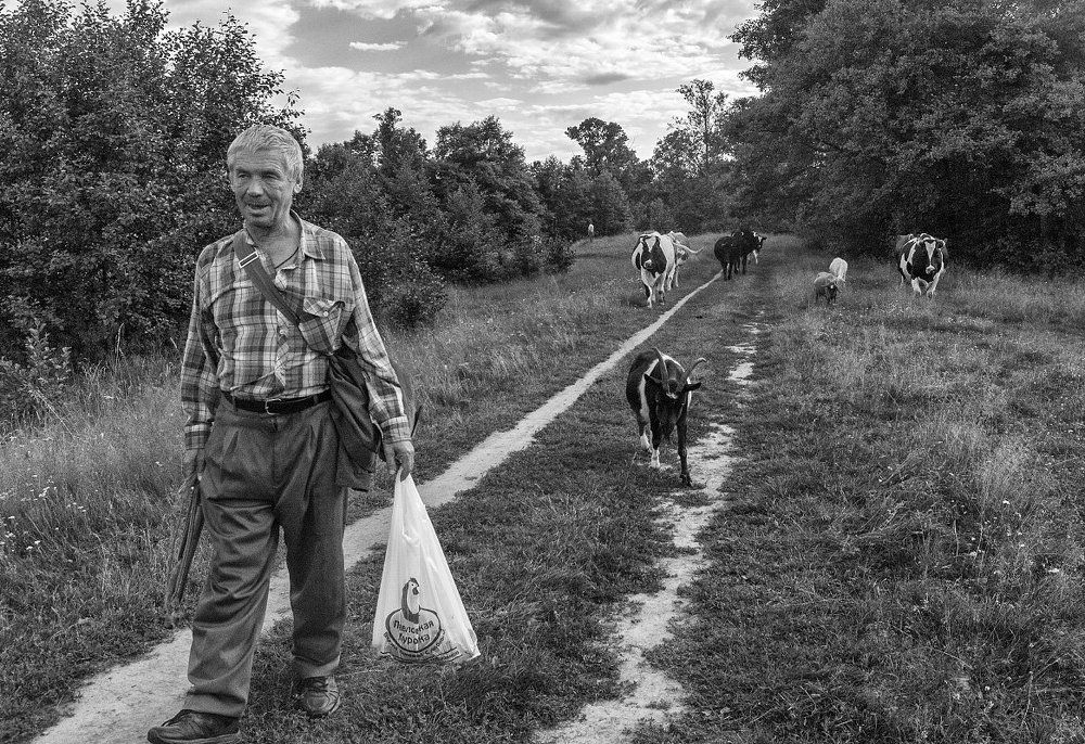 По пути домой..