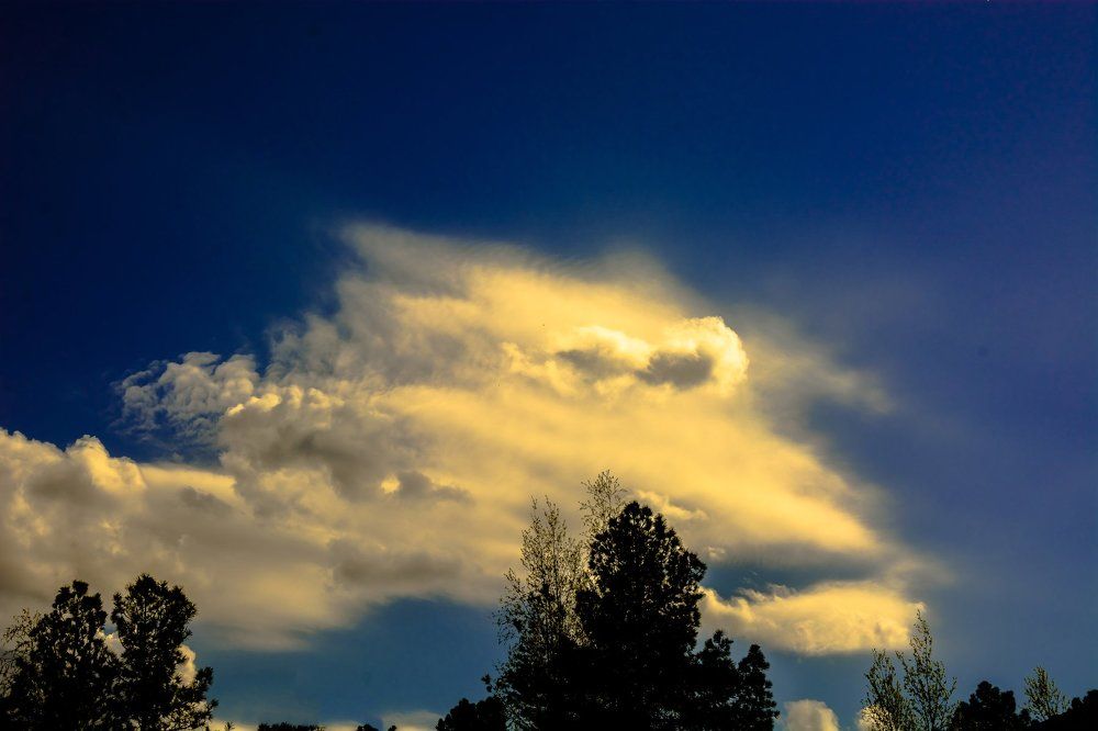 Дракон, летящий над Землей