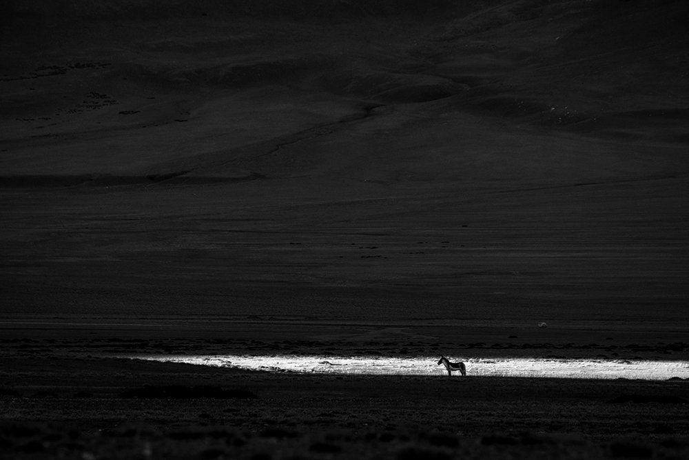 On the last ray of the day!