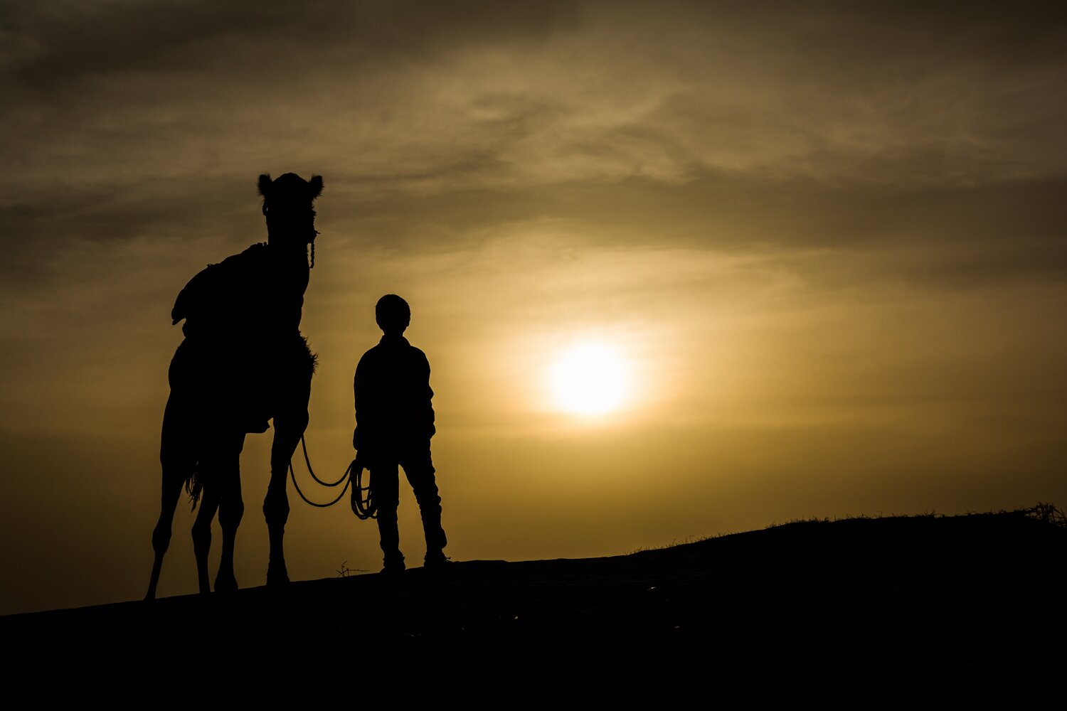 child with a camel