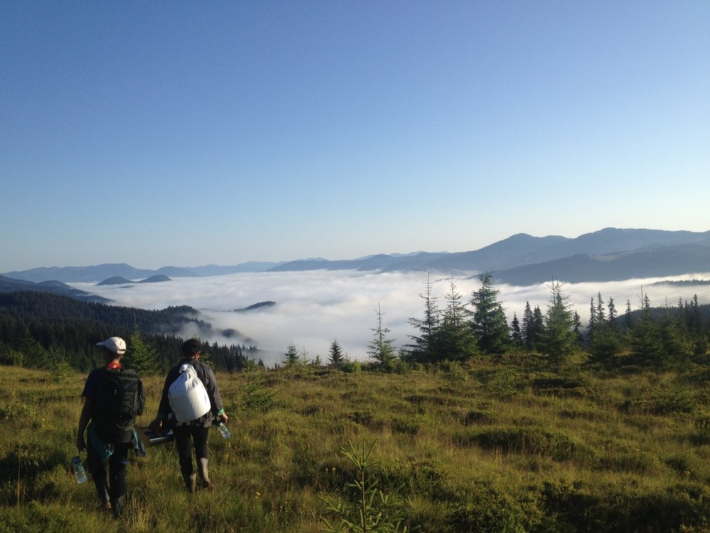 Час збирати афени