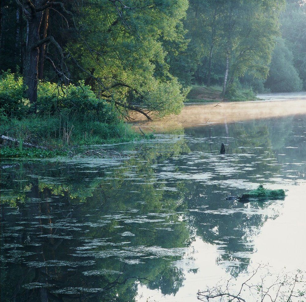 луч рассвета