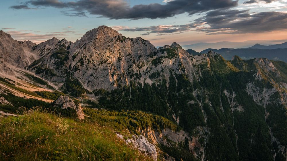 Giant in the morning