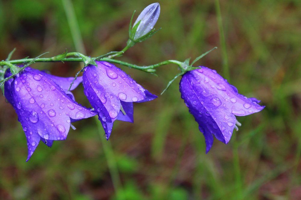 В дождливый день.