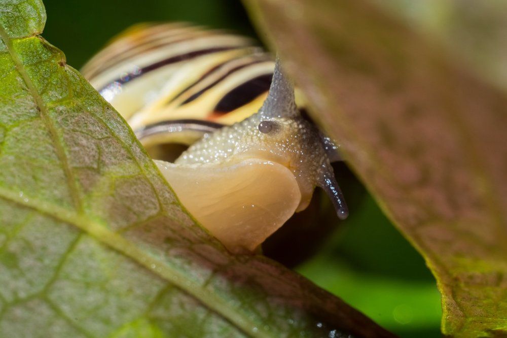 щас кого-то съем!