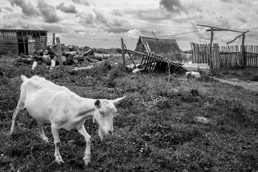 Русская деревня