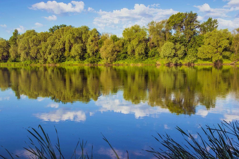 Симметрия отражений..