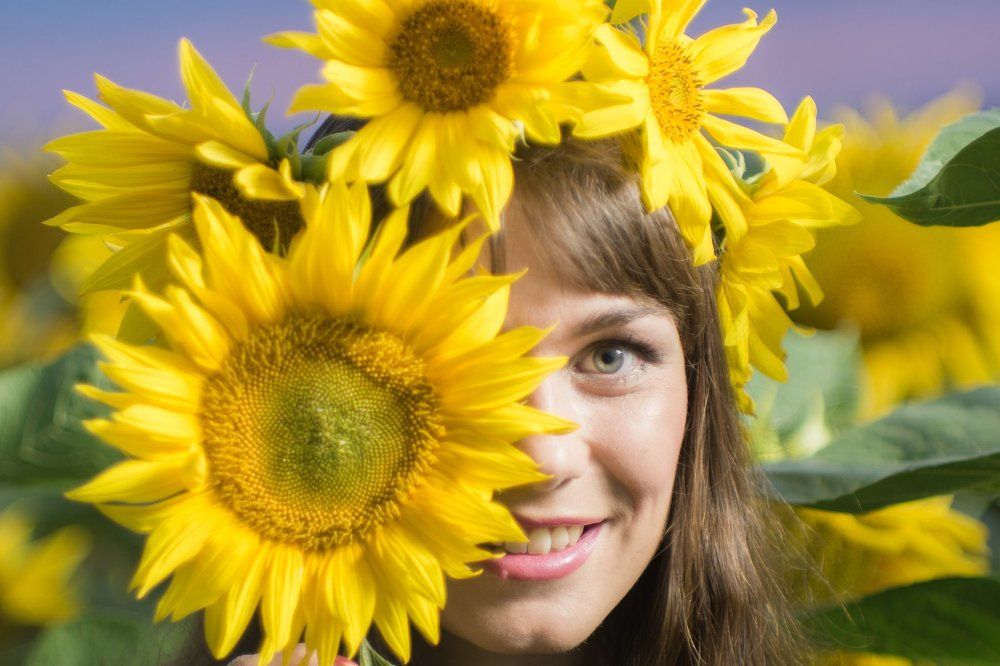 Подсолнухи