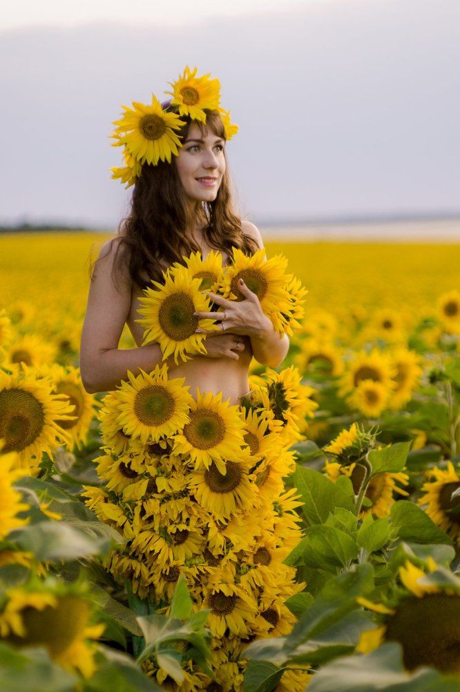 Подсолнухи на закате