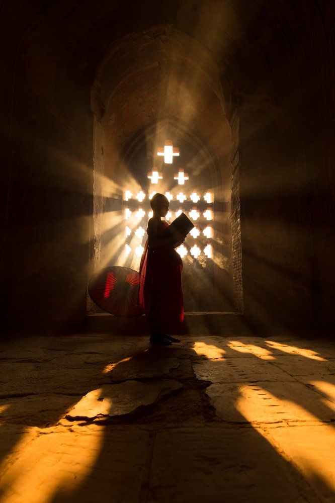 Buddhist novice monk
