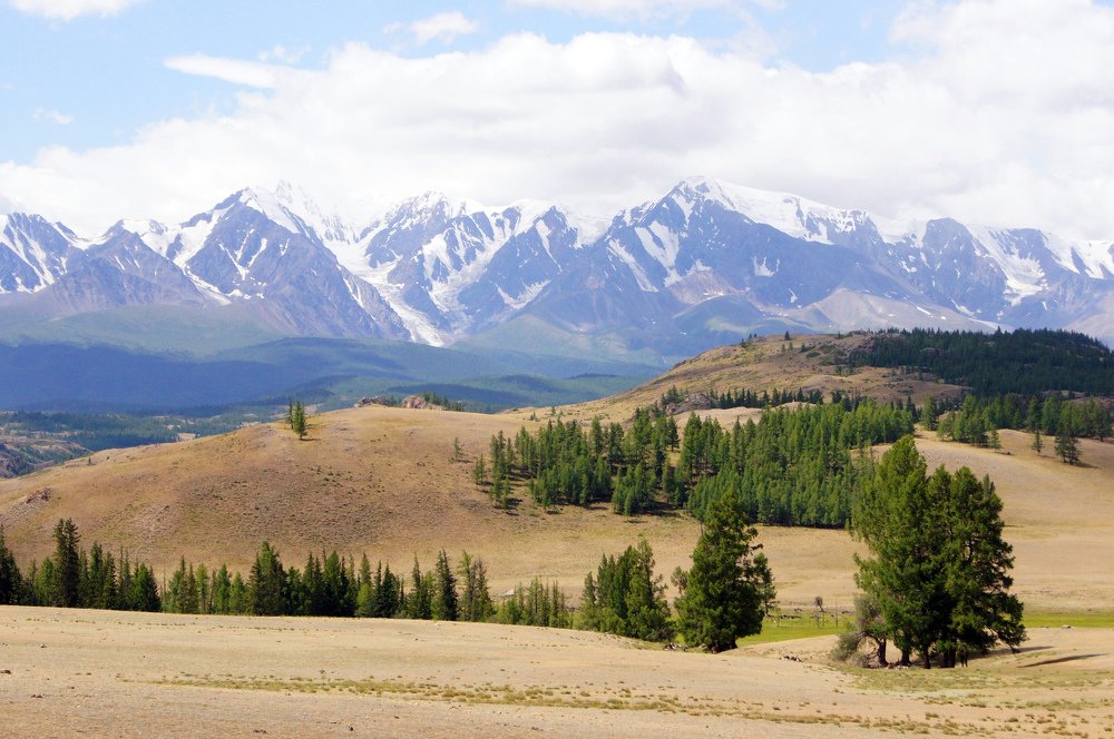 Времена года
