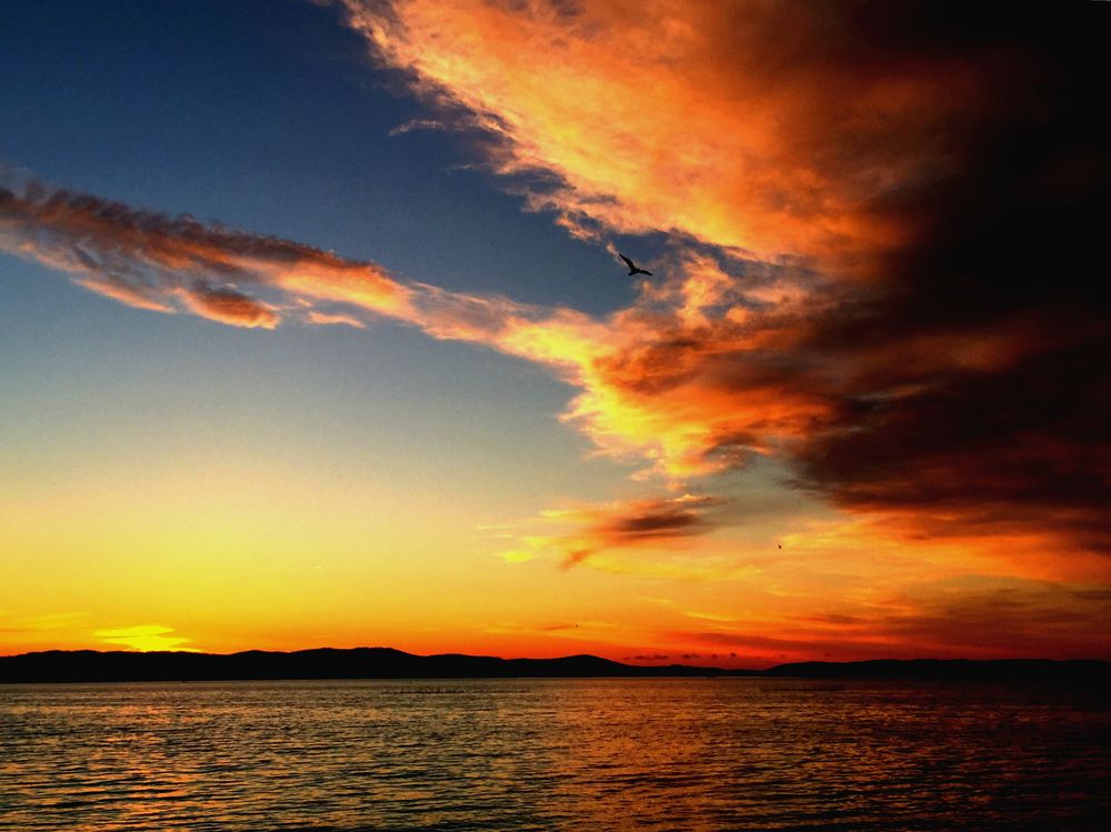 Photograph by Екатерина Новгородцева