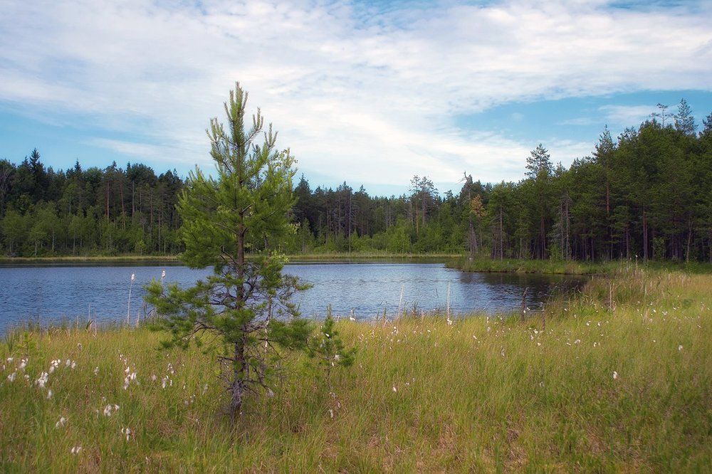 Photograph by Cath. B.